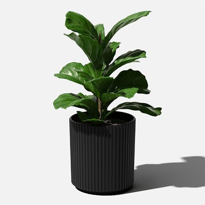 Veradek Demi Series Planter - Large Round Outdoor Planter - color: Black, size: 16 inch