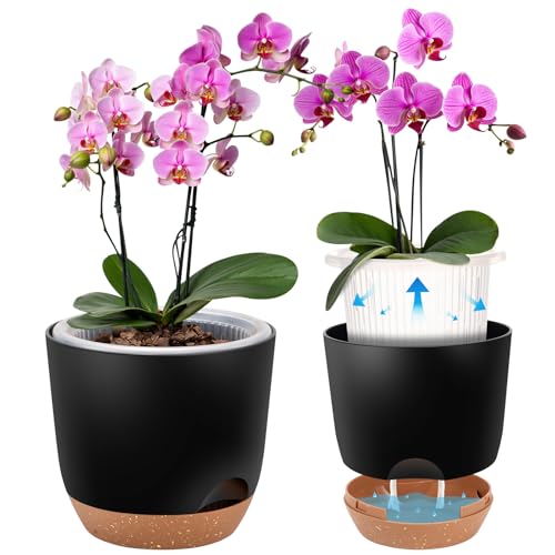 5Packs Self Watering Orchid Pots for Indoor Plants,5.8 Inch Macetas para Orqudeas,Flower Pots for Indoor Plants with Holes(Black) - color: Black, size: 5Pc 5.7IN
