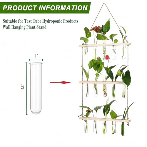 Kingbuy 5 Pack Glass Test Tube Planter, Wall Hydroponic Propagation Vases