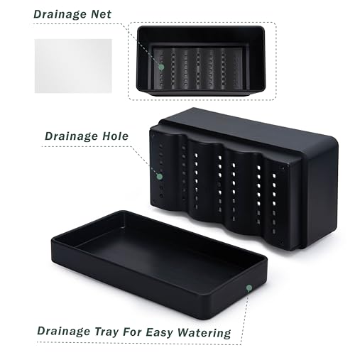 D'vine Dev Rectangular Planter, 12 x 6.5 in, Black, 76-P-B-1 - color: Black