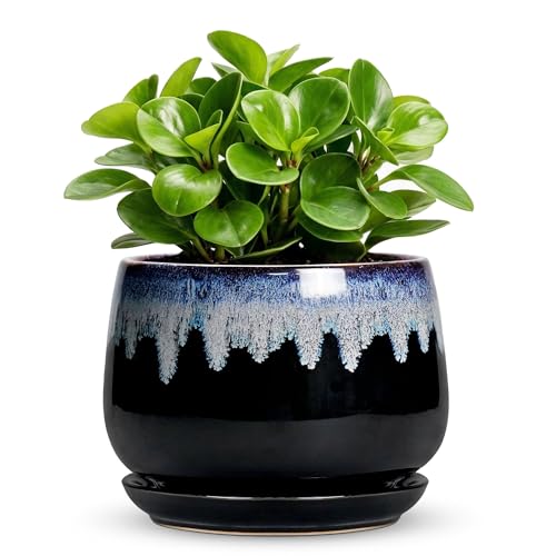 6 Inch Plant Pot - Ceramic Planters for Indoor Plants, Decorative Planter with Drainage Hole and Saucer, Round Flower Pots, Office Patio Decor, Gifts for Gardeners Woman, Black-Blue - size: 6 Inch, style: Black-blue