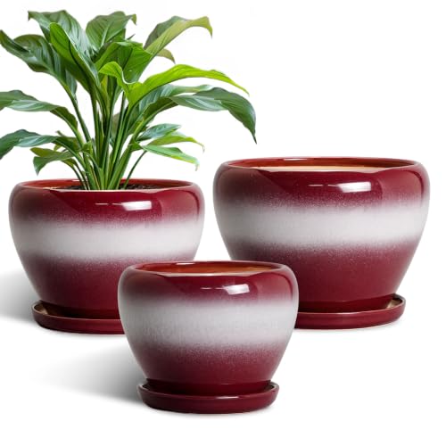 Ceramic Plant Pots, 10+8+6 Inch Ceramic Pots for Plants, Red-White - color: Red-white