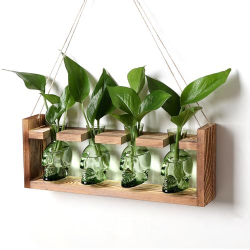 Plant Propagation Stations Halloween Skull Plant Terrarium Kit - color: Green