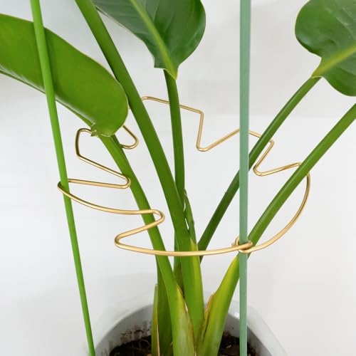 Monstera Plant Support Stem Stabilizer-5PCS Stem Holder (9 × 7.6 in) - size: 9 x 7.6 inches