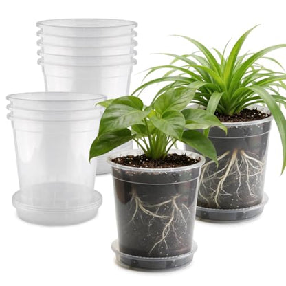 BTPLASTIK 0.5 Gallon Clear Nursery Pots with Saucers 10P, 6.5 Inch Round Plastic Plant Pots with Drainage Holes - size: 0.5 Gallon + Saucers 10P