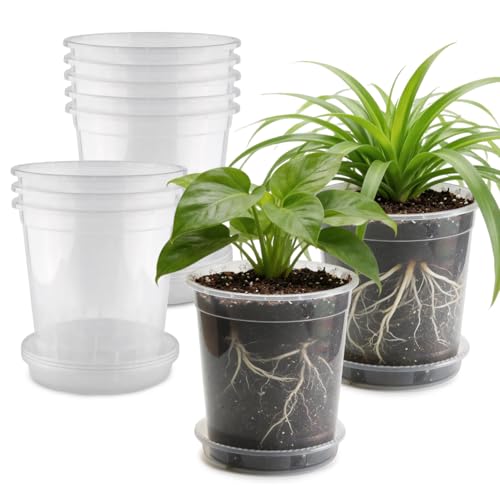 BTPLASTIK 0.5 Gallon Clear Nursery Pots with Saucers 10P, 6.5 Inch Round Plastic Plant Pots with Drainage Holes - size: 0.5 Gallon + Saucers 10P