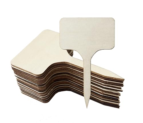 100 Pcs Wood Plant Labels, Natural Wooden Plant Marker Garden Sign Tags, T-Type Garden Markers for Succulents, Herbs, Seedlings, Potted, Flowers, Vegetables (T-Type) - style: T-Type