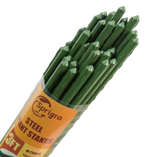 Plant Stakes 36 inch, 3ft Steel Garden Stakes 25 Pack, Sturdy Plant Support for Climbing Plants, Tomatoes, Beans, Cucumbers, Peppers, Flowers, Potted, Strengthen and Stem to Grow Better - size: 3FT, 25 of pack