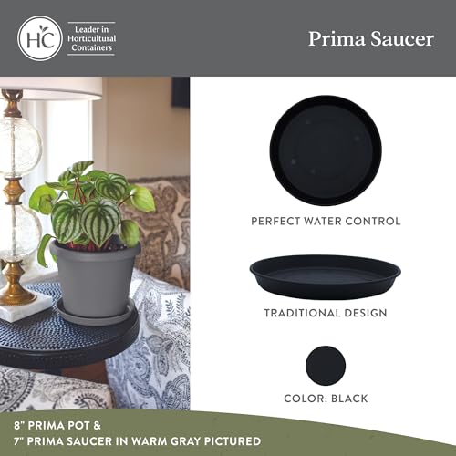 The HC Companies 5" Round Prima Plastic Plant Saucer - Indoor Outdoor Plant Trays for Pots - 5.35"x5.35"x0.71" in Black - color: Black, size: 5", style: Pack of 1