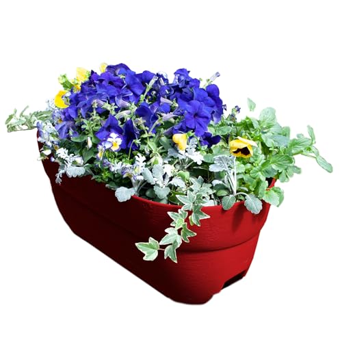 Emsco Group Bloomers Rail Planter, 24" Weatherproof Resin Deck & Balcony Planter with Drainage – Fits 2x4 & 2x6 Rails – Red - color: Red, size: 24.3 × 10.5 × 9.5 inches