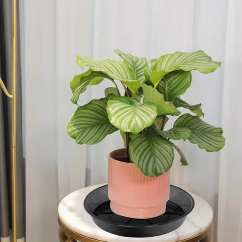 NIMYAU Large Plant Saucer 14 Inch 2 Pack, Plant Trays for Pots Heavy Duty Round Plastic Plant Saucers for Indoors Outdoors, Flower Pot Drip Trays, Clear Black Flower Plant Pot Saucer, Plant Pot Tray - size: 14"-2 Pack
