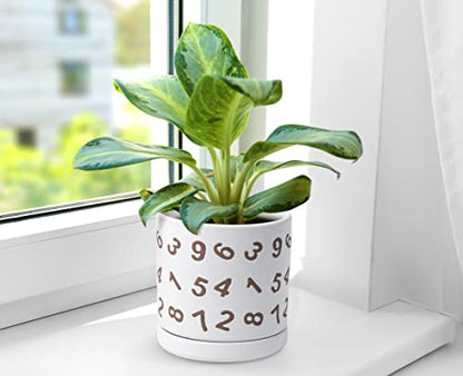 D'vine Dev Set of 2 Ceramic Planter Pots with Drainage Hole and Saucer, 6 Inch Plant Pots for Plants Indoor Houseplants, White, 99-Z-B-1-Y - size: 6", style: Numbers White
