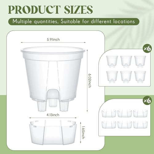 Wonderjune Self Watering Planter, 5.91'', Clear, 6 Pcs - color: Clear, size: 5.91''