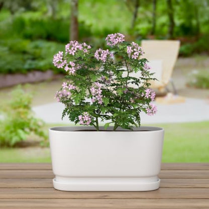 13" Rectangular Ceramic Planter with Drainage and Saucer, White - color: Matte White, size: Large