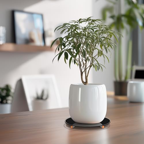 Plant Stand with Wheels Indoor,8inch Plant Stand with 360° Wheels Swivel Casters -8" Tempered Glass Plant Low Profile Moving Base for Planters for Indoor Home Use (8inch Black) - size: 8 inch Round