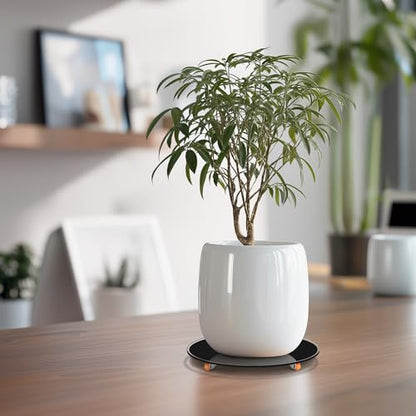 Plant Stand with Wheels Indoor,8inch Plant Stand with 360° Wheels Swivel Casters -8" Tempered Glass Plant Low Profile Moving Base for Planters for Indoor Home Use (8inch Black) - size: 8 inch Round