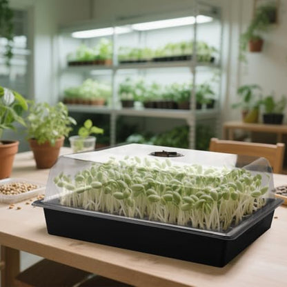RooTrimmer 10-Pack Leak-Proof Humidity Domes, Plastic Clear Seed Starter Dome, Seed Starter Tray Covers Humidifying and Insulating for Greenhouse Germination and Garden Growing (16"×13", 4" Height) - size: 1613 4 Inch Dome-10P