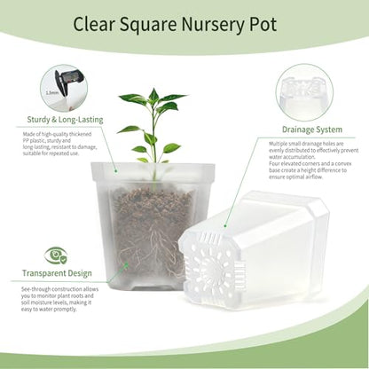 Clear Nursery Pots with Drainage, Square Plastic Plant Pots, 3 Inch Clear Seed Starter Flower Pots, 30 Pcs Small Pots for Seedling