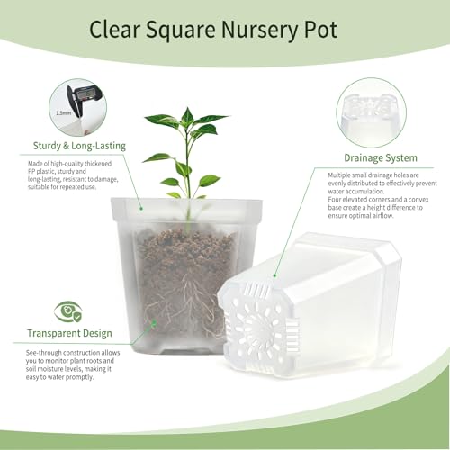 Clear Nursery Pots with Drainage, Square Plastic Plant Pots, 3 Inch Clear Seed Starter Flower Pots, 30 Pcs Small Pots for Seedling