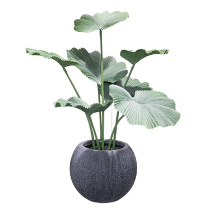11.8" H x 14.5" Dia Large Round Plastic Black Planter with Drainage & Plug - color: Mediterranean Black