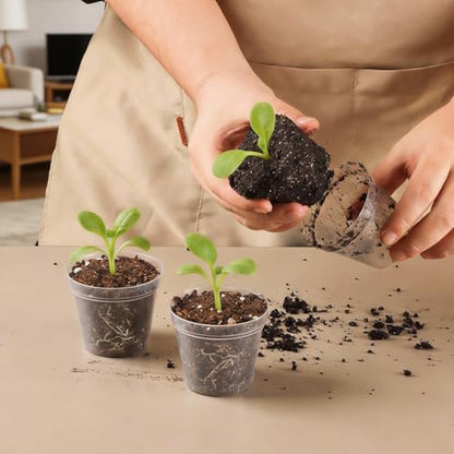 BTPLASTIK 200 Pack 2.5 Inch Clear Nursery Pots with Drainage Hole, Transparent Seed Starter Pots, Sturdy Plastic Plant Pot for Planting Seedlings Vegetables Herbs, Gardening Gifts - size: 2.5 Inch-200P