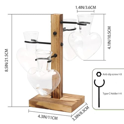 Plant Terrarium Propagation Stations with Wooden Stand - color: Transparent