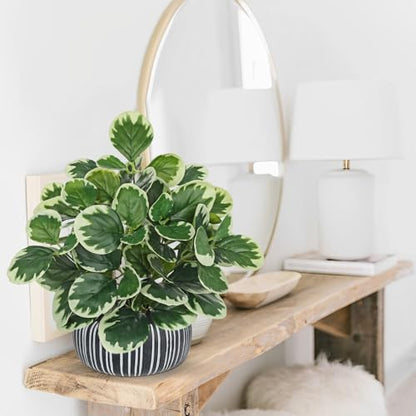 Villa Como 13" Artificial Plant Indoor Small Fake Plant in Oval Ceramic Pot - color: #Green #1