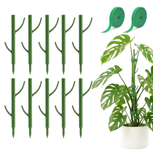 10-Piece Thick Plant Support Stakes: Stackable for Monstera Climbing Vines - color: Green