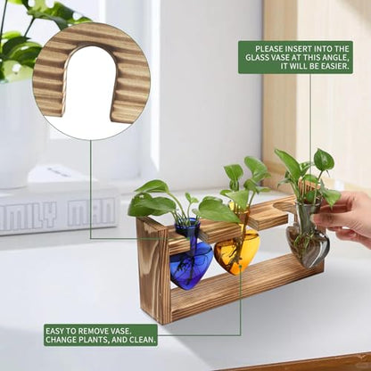 Plant Terrarium Propagation Stations Hydroponics - color: Color 3