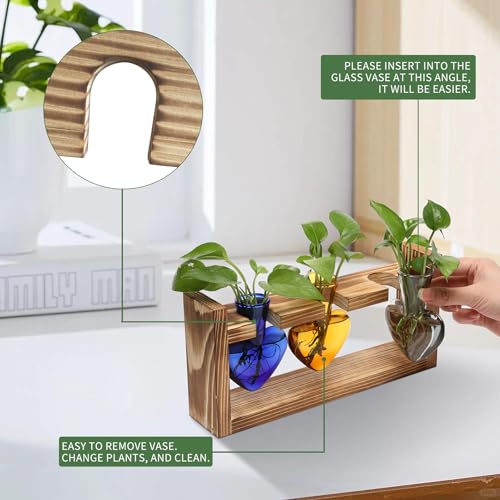Plant Terrarium Propagation Stations Hydroponics - color: Color 3