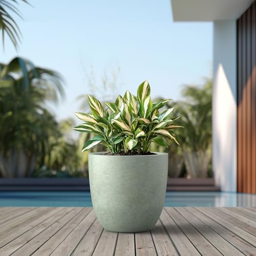 Kante Large Round Bowl Mint Green Concrete Planter 18" Dia, Outdoor - color: Mint Green, size: 18"d