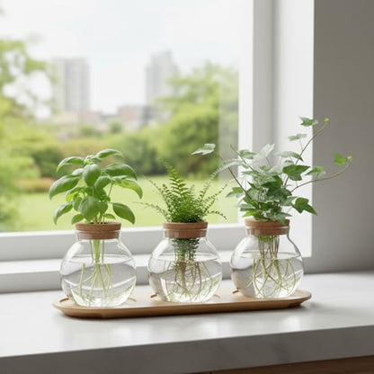 Plant Propagation Station, Glass Propagation Vases with Lid and Wooden Stand, Prop Drops Terrarium Jar for Hydroponics Home Garden Office Decor, 3 Bulb Vase