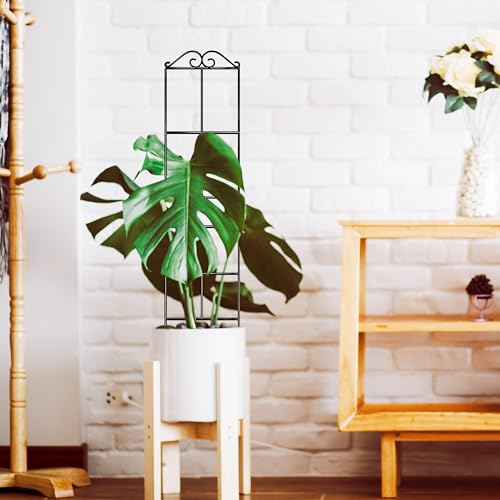 31.8'' Stackable Plant Trellis Indoor, Metal Trellis for Climbing Plants Indoor, House Plant Support with Soft Ties for Monstera Hoya Pothos, 4P - size: 31.8in/4p
