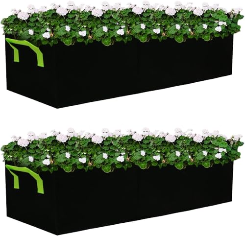 38 Gallon Grow Bags 2 Pack, 3 Compartments Rectangle Raised Planting Bags, 400g Heavy Duty Nonwoven Fabric Planter Pots for Vegetable Tomato Herb Flower Indoor Outdoor Gardening - color: Black, size: 2PCS 38Gallon