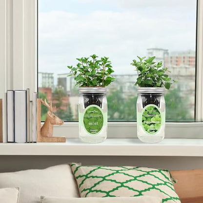2-Pack Hydroponic Mason Jar Herb Garden Kit, Indoor Herb Garden Self-Watering Starter Kit, New Christmas Gift for Mom (Mint,Peppermint)