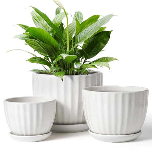 STHIE 4/5/6 Inches White Ceramic Plant Pots with Drainage Holes and Saucer - color: White-big Size