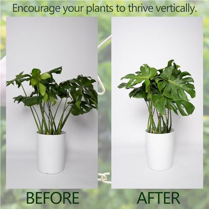 Monstera Plant Support Stem Stabilizer-5PCS Stem Holder (9 × 7.6 in) - size: 9 x 7.6 inches