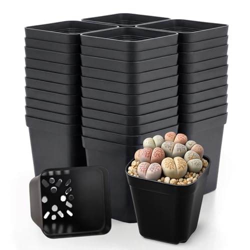 150 Packs Square Nursery Pots for Plants 2.2 Inch Seedling Pots - size: 2.2 Inch