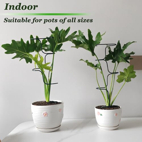 Indoor Plant Trellis Support, 4PCS Durable Metal in & Outdoor Trellis for Climbing Plants 15.7 Inch Metal Garden Stakes Plant Stem Holder Support for Potted Plants, Monstera, Flowers & Herbs (4PCS)