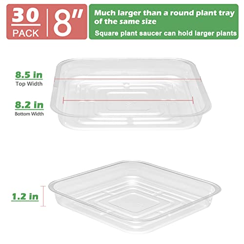 30 Pack Plant Saucers for Indoors 8 Inches Plant Trays for Pots Plastic Trays for Plants Square Plant Drip Trays for Potted Plants Flower Pot Saucers Clear Plant Plates to Catch Water, Bulk - size: 8 Inches