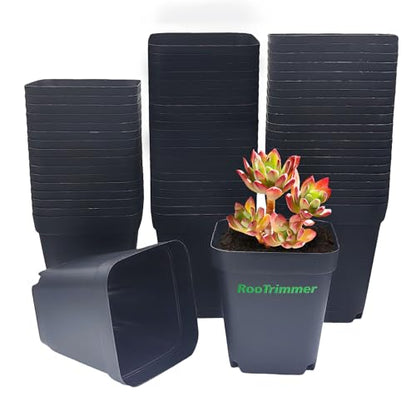 RooTrimmer Square Nursery pots 4 Inches 60Pcs, Seedling Plastic Seeds propogation Growing Pots (Black,4Inches,60Pcs) - color: Black, size: 4 Inch - 60pk