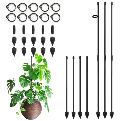 RIFNY Plant Stakes for Indoor Plants, Plant Support Stakes, 14 Inch - color: Black, size: 14IN 10PCS