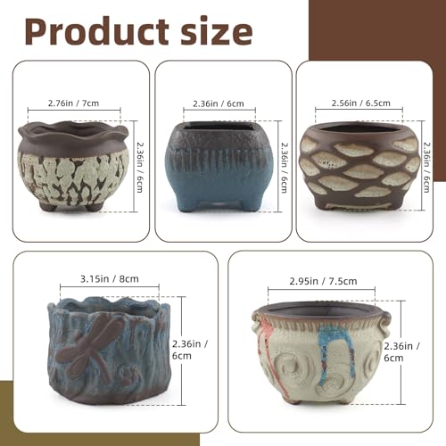 Ceramic Garden Pots Succulent Plant Planter Container with Drainage Set of 5 Small for Home Office Decor - color: D 5-piece Set