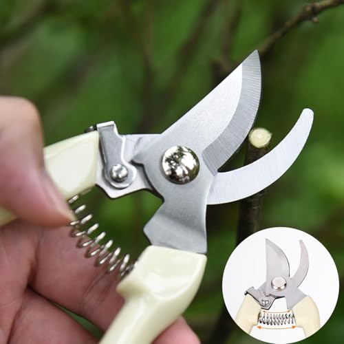 White Dual-Blade Set, Straight & Curved Stainless Steel Garden Shears, Sharp Handheld Trimming Tools for Flowers & Fruit Trees, Gardening Gifts for Women & Men