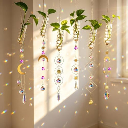 6pcs Plant Propagation Station Hanging Suncatcher with Chain Pendant