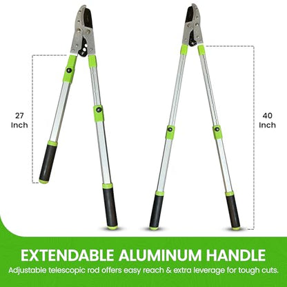 Garden Guru Extendable Anvil Lopper Tree Trimmer with Compound Action, Chops Thick Branches with Ease, 28-40”, Non-Stick High Carbon Steel Blade, Heavy Duty Branch Cutter, 2 Inch Clean Cut Capacity, 2 - size: 2 Pack, style: Extendable Anvil Lopper