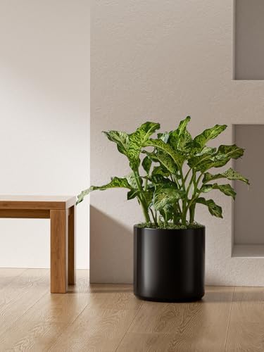 LE TAUCI 12 Inch Pot for Plants, Ceramic Indoor Planter, Black - color: Black
