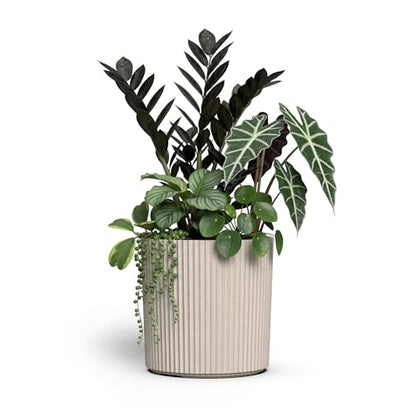 Mayne Haven 12in Round Fluted Modern Planter, Chai - color: Chai, size: 12in