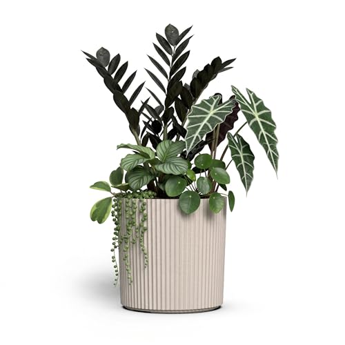 Mayne Haven 12in Round Fluted Modern Planter, Chai - color: Chai, size: 12in