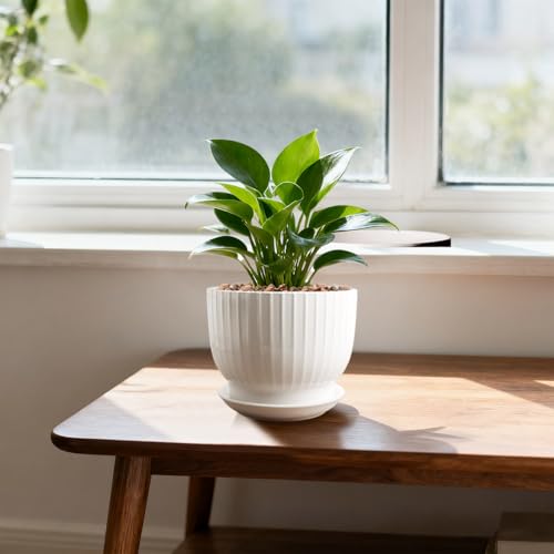 Ceramic Plant Pots, 6.7 Inch, Pure White, Set of 2 - color: Pure White, size: 6.7 Inch(2 PCS)